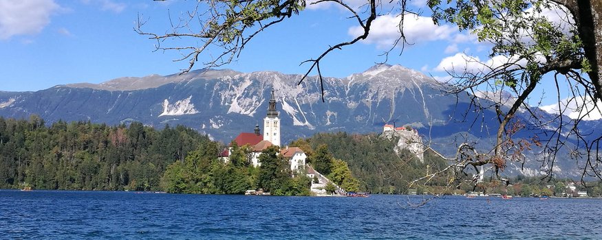 Hotel & Glamping Ribno Alpine Resort **** © Epidos doo Kirche auf einer Insel im See vor Bergen bei klarem Himmel
