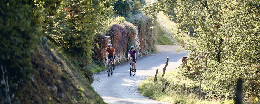 Landrefugium Obermüller – aktiver Rückzug im Rennradrefugium
© Tobias Köhler Zwei Radfahrer auf einem sonnigen Landweg mit grünen Bäumen