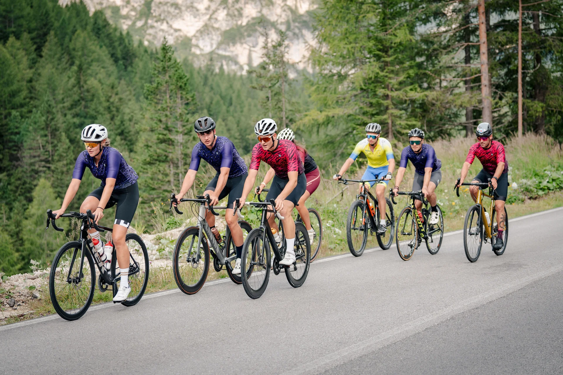 Roadbike Holidays © Josef Plaickner Gruppe von Radfahrern auf einer Bergstraße umgeben von Bäumen