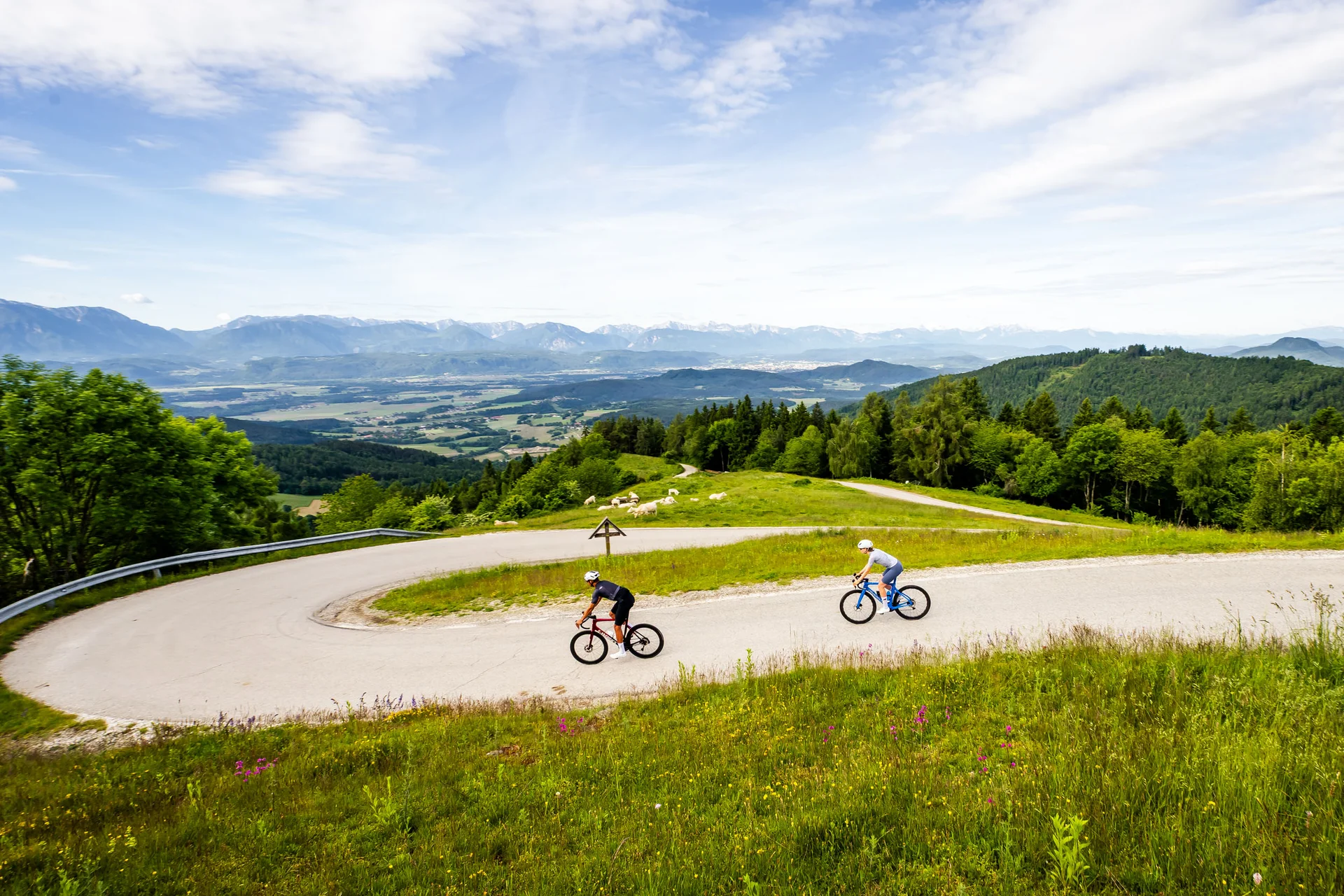 Roadbike Holidays © Michael Stabentheiner Zwei Radfahrer auf kurvenreicher Bergstraße mit grüner Landschaft und Bergen