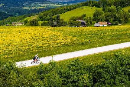 Kärnten © Michael Stabentheiner Zwei Radfahrer auf Landstraße neben gelben Blumenfeldern und grünen Hügeln