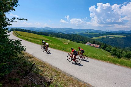 Rennradtour um die Bucklige Welt © Joris Lugtigheid Drei Radfahrer fahren auf einer Landstraße durch grüne Hügel bei blauem Himmel
