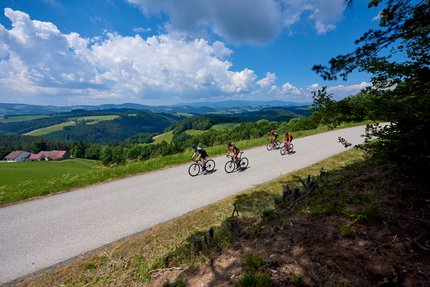 Niederösterreich © Joris Lugtigheid Vier Radfahrer fahren auf einer Landstraße mit grüner Hügellandschaft und blauem Himmel