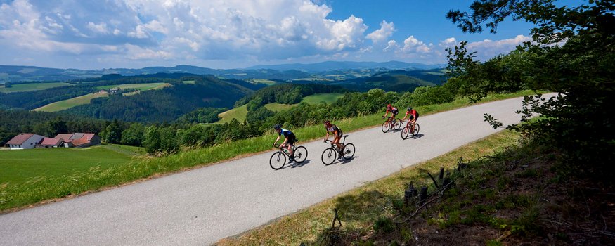 Bucklige Welt © Joris Lugtigheid Vier Radfahrer fahren auf einer Landstraße mit grüner Hügellandschaft und blauem Himmel
